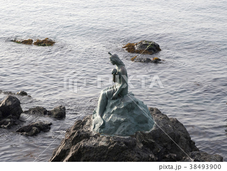像 海 釜山 38493900