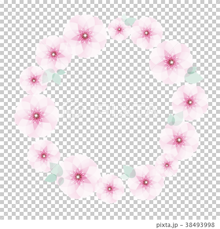 櫻桃樹框架 38493998