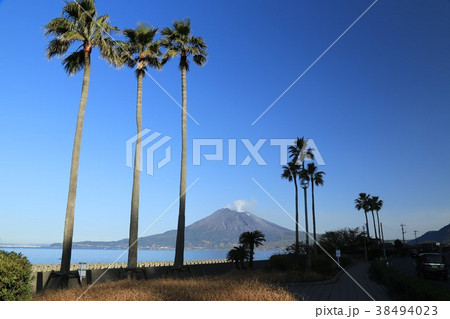 錦江湾に浮かぶ桜島 錦江湾に浮かぶ桜島 38494023