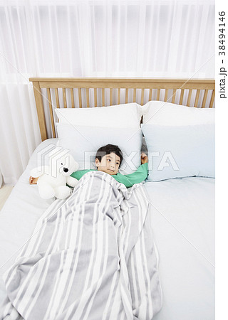 クマのぬいぐるみ 気象 起床 38494146