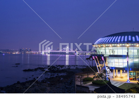 広安大橋 夜景 海 38495743
