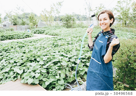 植物に水を撒く女性 植物に水を撒く女性 38496568
