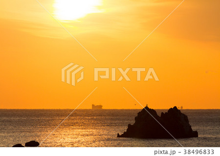 [愛知県]　大石海岸　太平洋ロングビーチ　日の出 38496833