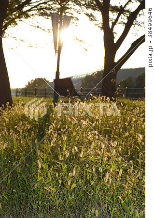 新横浜近郊 新横浜近郊 38499646