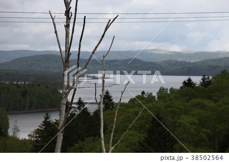 朱鞠内湖_北海道 38502564