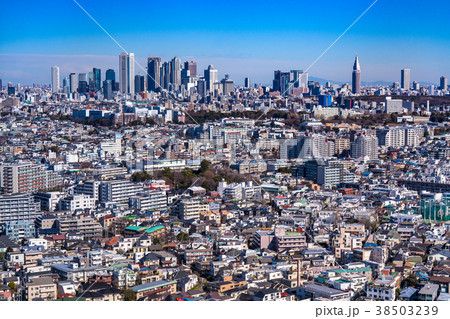 新宿副都心・都市風景 38503239