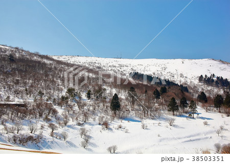 大野ヶ原 38503351