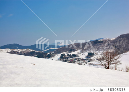 大野ヶ原 38503353