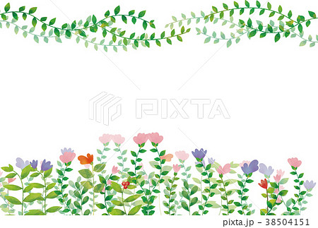 手描き風 蔦あり 花咲く ボタニカルフレームのイラスト素材 38504151 Pixta