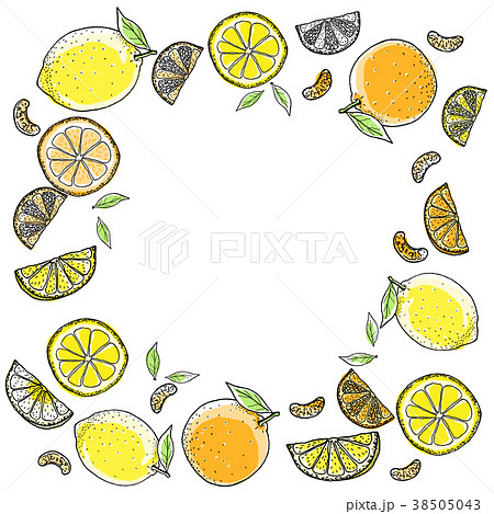 レモンとオレンジ手描きの線画のイラスト素材