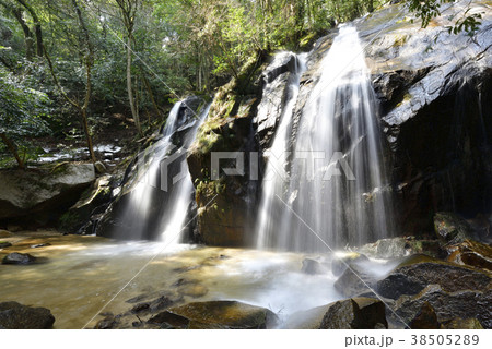 金引の滝（京都府宮津市） 38505289