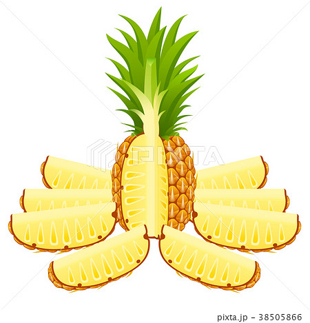 Pineapple With Slices On Whiteのイラスト素材