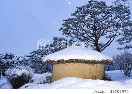 風景 雪景色 木 38505976