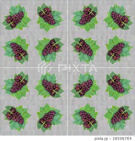 red grapes and leaves with water drops 38506764