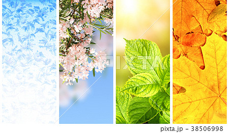 Four seasons of year 38506998