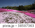 秩父芝桜の丘 38507363