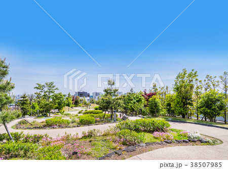 目黒天空庭園 38507985