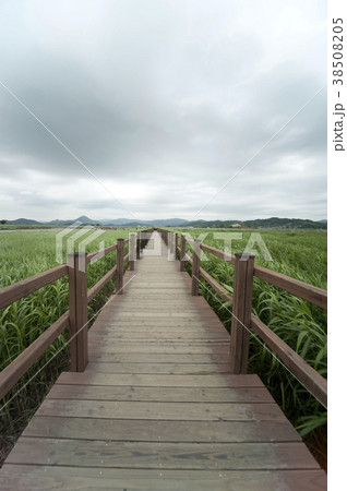 順天湾 全羅南道 韓国 38508205