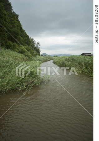 順天湾 全羅南道 韓国 38508209