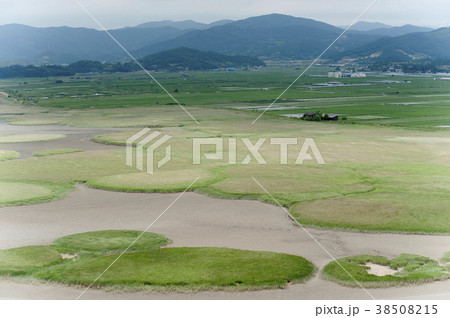 順天湾 全羅南道 風景 38508215