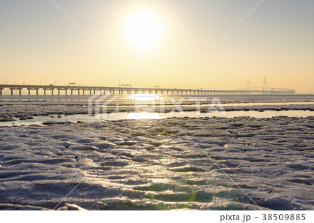 干潟 氷 仁川 38509885