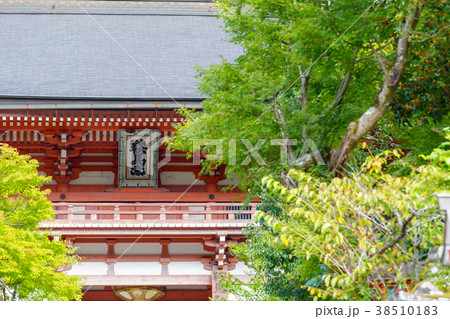 鞍馬寺 38510183