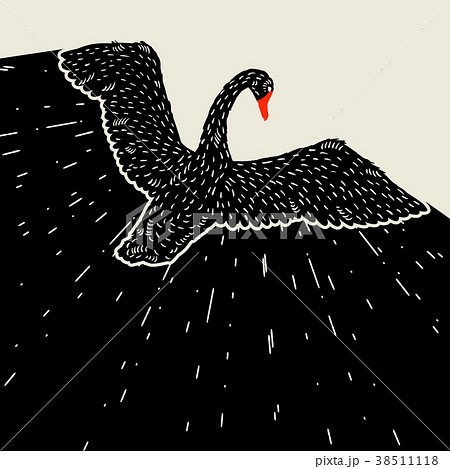 sikkerhedsstillelse Sult jævnt Background with flying black swan. Hand drawn birdのイラスト素材 [38511118] - PIXTA