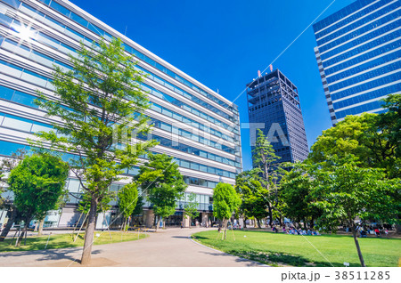 中野四季の森公園 38511285