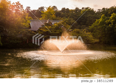 井の頭池の夕暮れ 井の頭池の夕暮れ 38511289