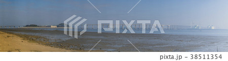 橋 西海の大橋 海 38511354