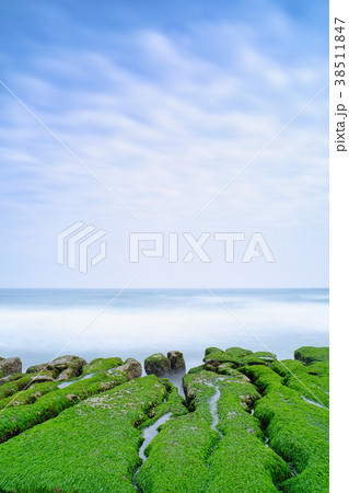 老梅 老梅綠石槽 海景 38511847