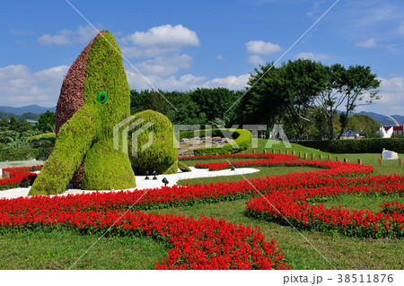 草 公園 パーク 38511876