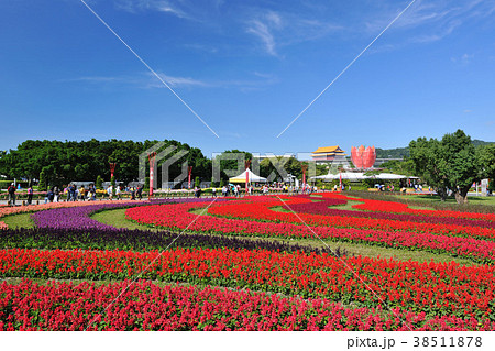 草 公園 パーク 38511878