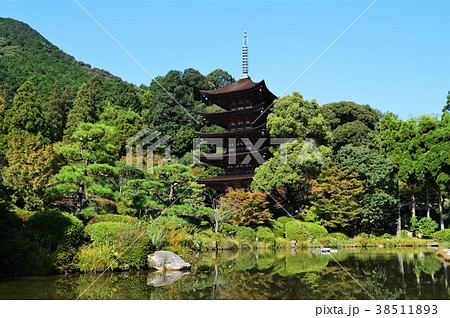 新緑の瑠璃光寺五重塔 38511893