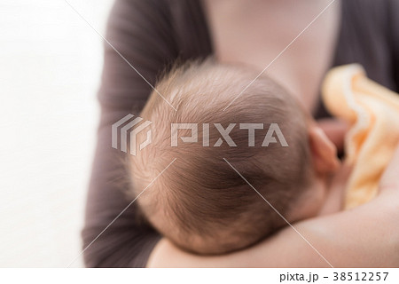 授乳 授乳 38512257