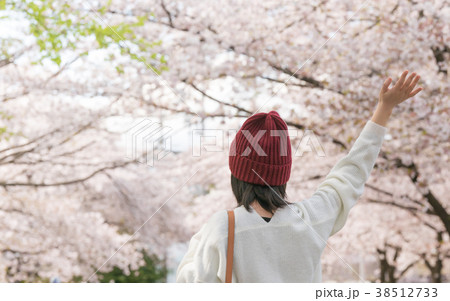 お花見 38512733