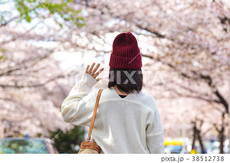 お花見 38512738