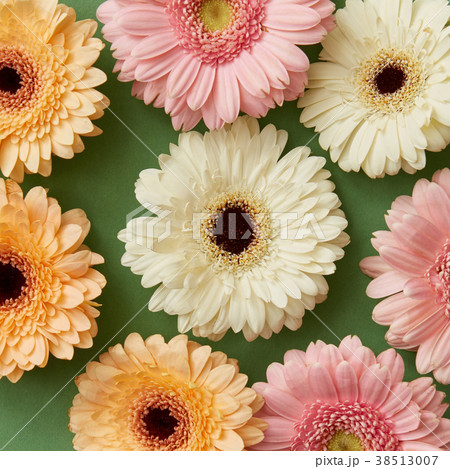 Flower pattern from gerberas isolated on paper 38513007