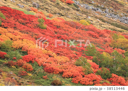 大雪山赤岳銀泉台 38513446