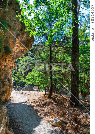 Samaria Gorge in central Crete, Greece 38514957