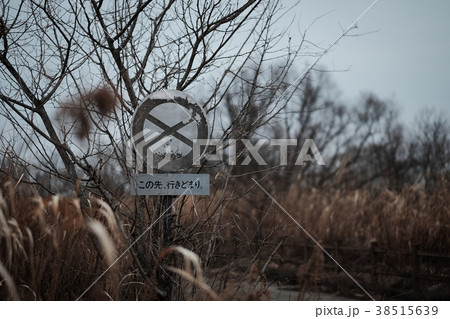荒涼とした風景 荒涼とした風景 38515639