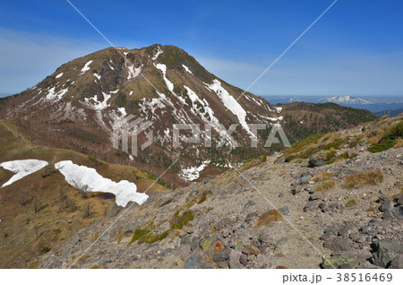 前白根山からの残雪と日光白根山 前白根山からの残雪と日光白根山 38516469