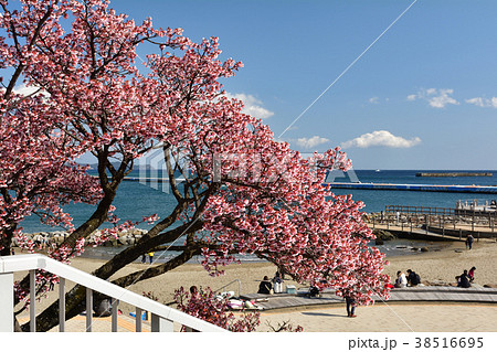 熱海 熱海 38516695