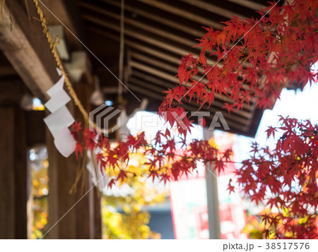 紅葉 38517576