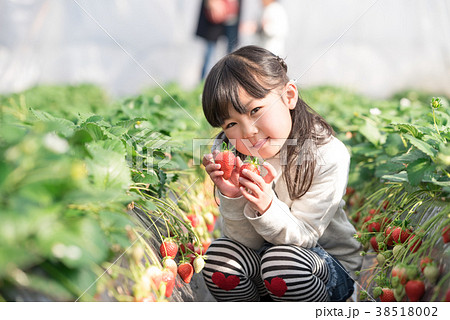 笑顔でいちごを持つ女の子の写真素材