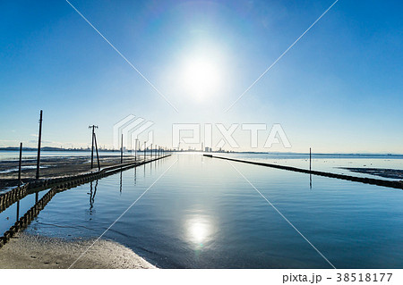 【千葉県】江川海岸 【千葉県】江川海岸 38518177
