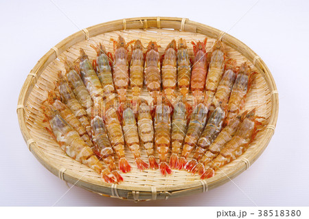 もさえび　食材 38518380