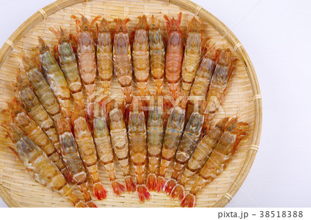 もさえび　食材 38518388