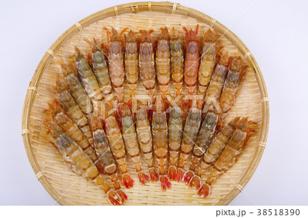 もさえび　食材 38518390