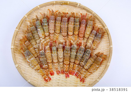 もさえび　食材 38518391